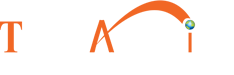 Tech America Consulting Inc